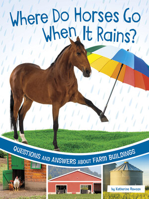 cover image of Where Do Horses Go When It Rains?